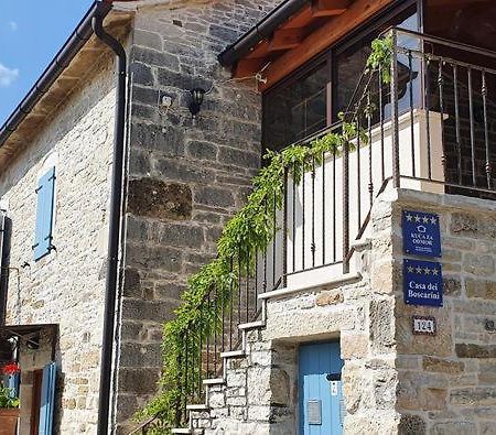 Casa Dei Boscarini Hotel Buje Exterior photo